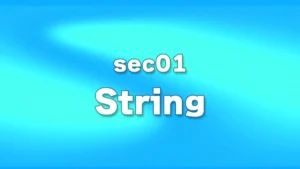 sec01 - String